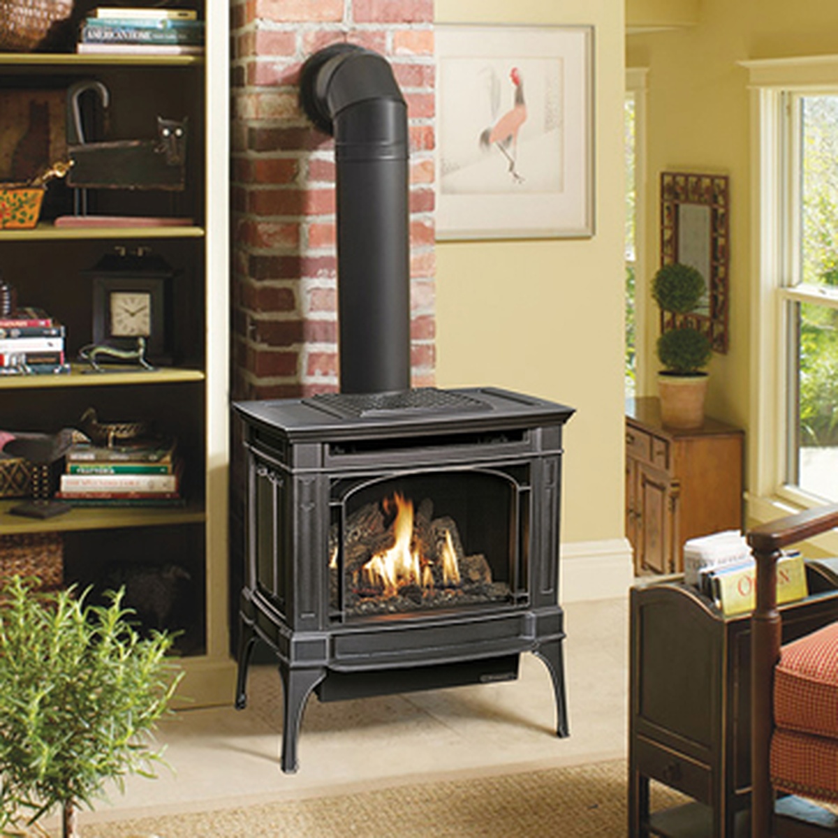Berkshire by Lopi Gas Stove Flame Center